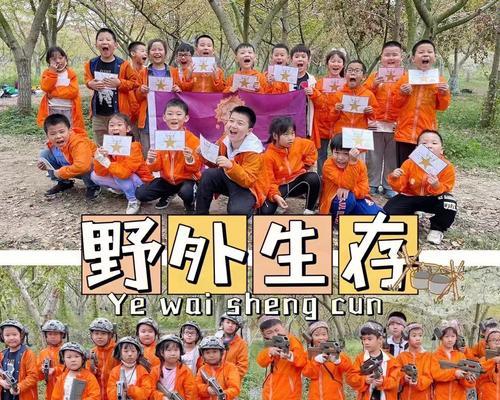 生存技能考试攻略游戏（通过游戏挑战生存技能，锻炼身心、提升能力）